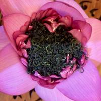 Thé vert dans la fleur de lotus, production artisanale du Viet nam